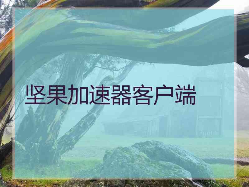 坚果加速器客户端