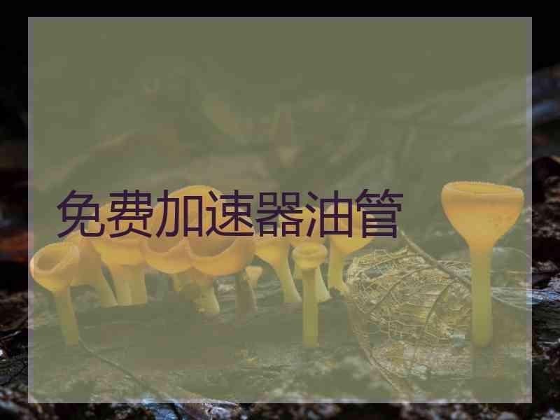免费加速器油管