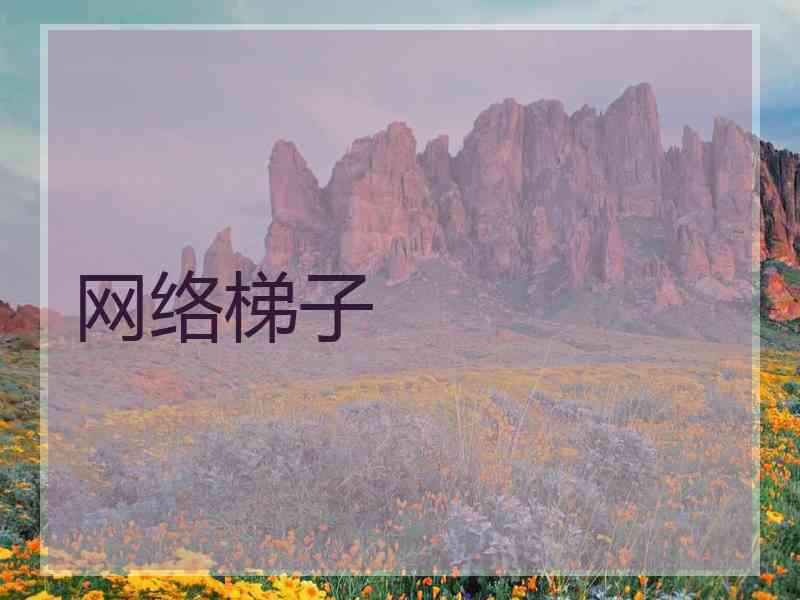 网络梯子