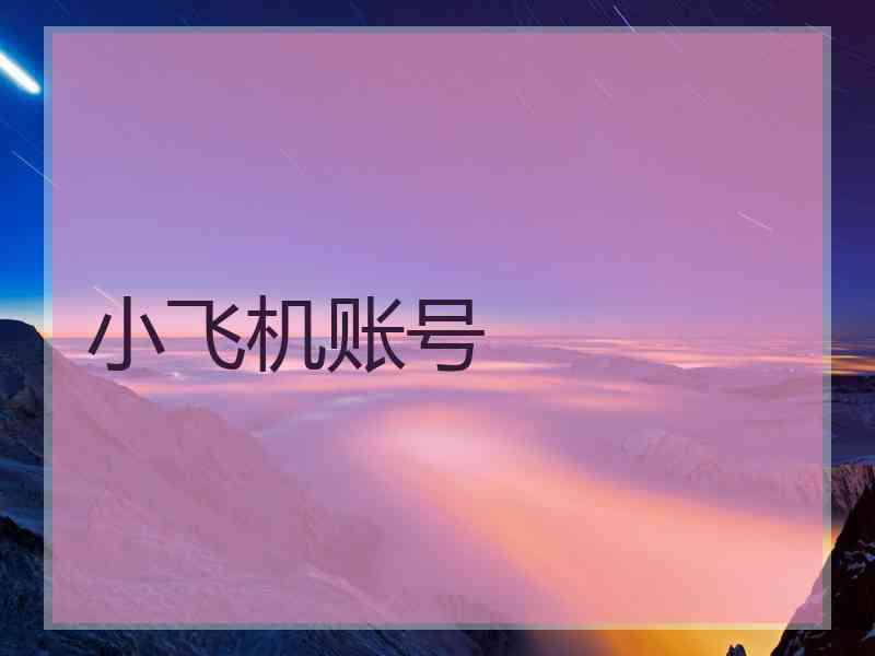 小飞机账号