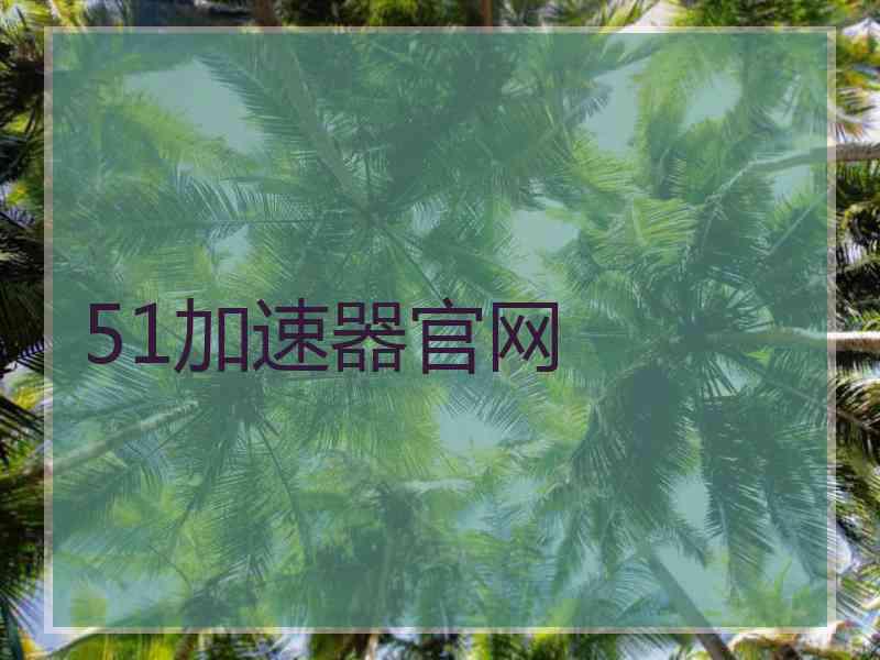 51加速器官网