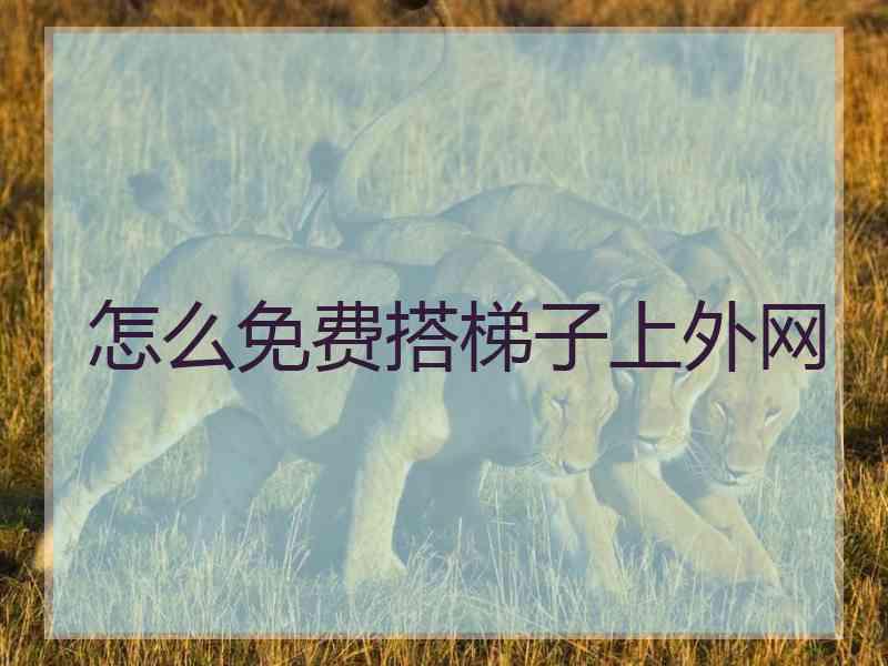 怎么免费搭梯子上外网