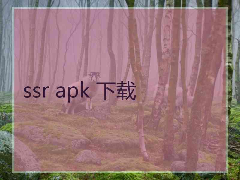 ssr apk 下载