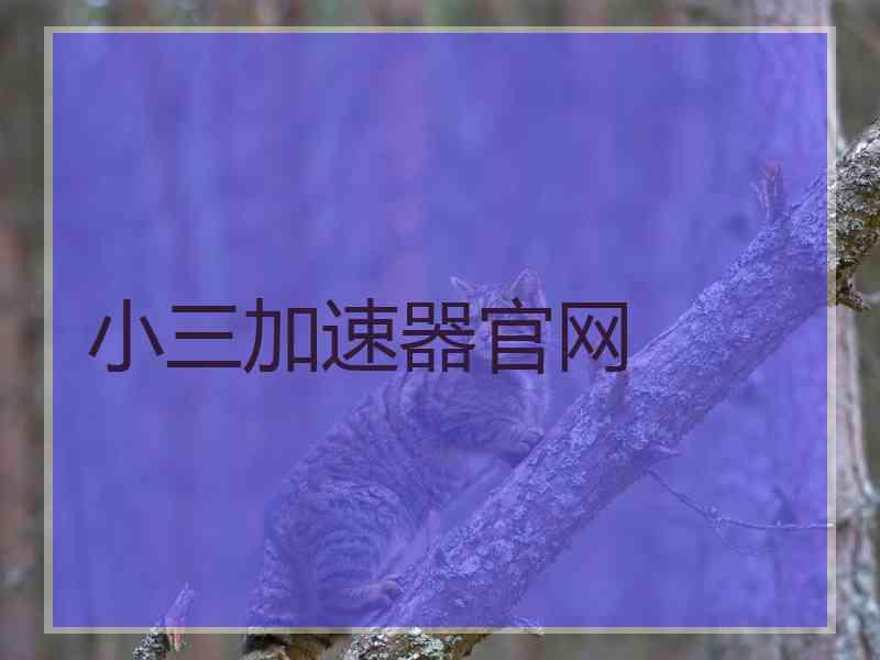 小三加速器官网