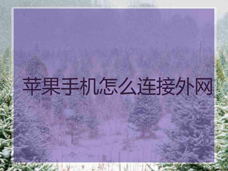 苹果手机怎么连接外网