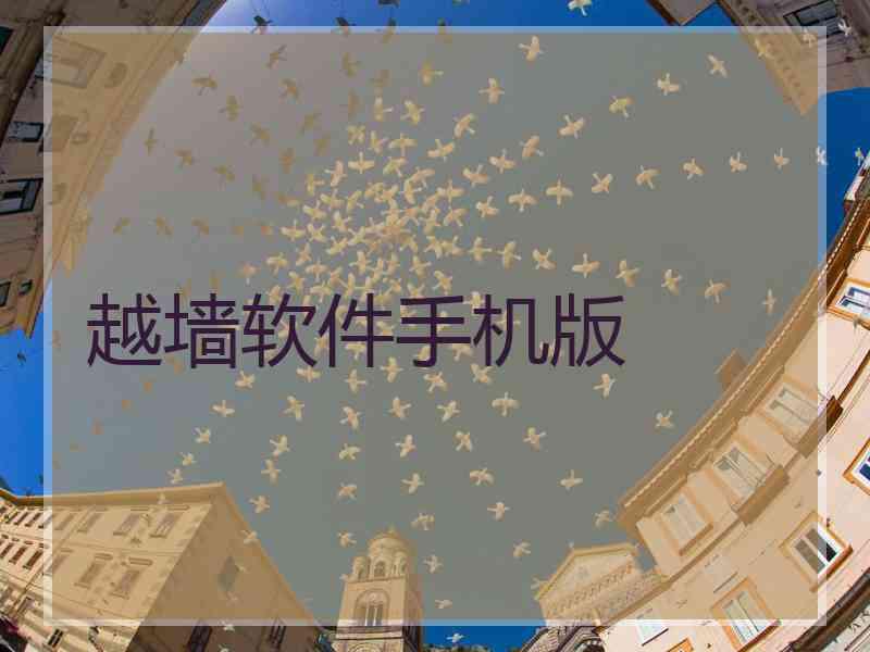 越墙软件手机版