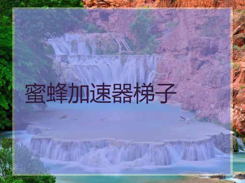 蜜蜂加速器梯子