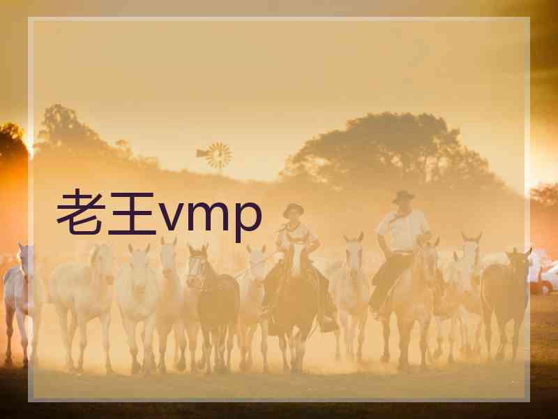 老王vmp
