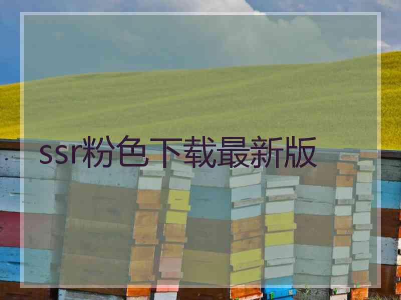 ssr粉色下载最新版
