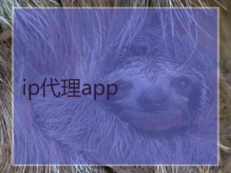 ip代理app
