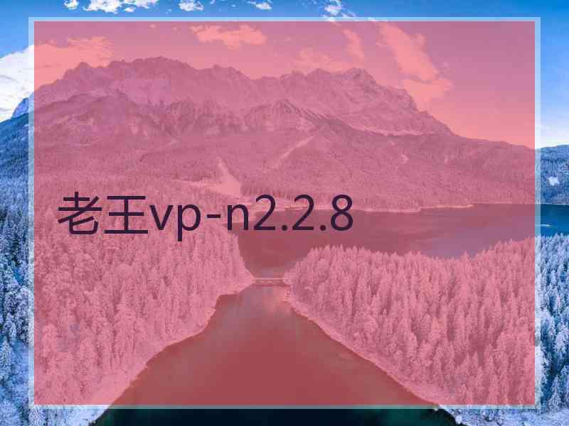 老王vp-n2.2.8
