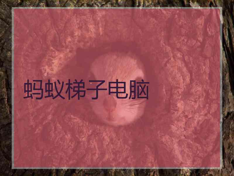 蚂蚁梯子电脑