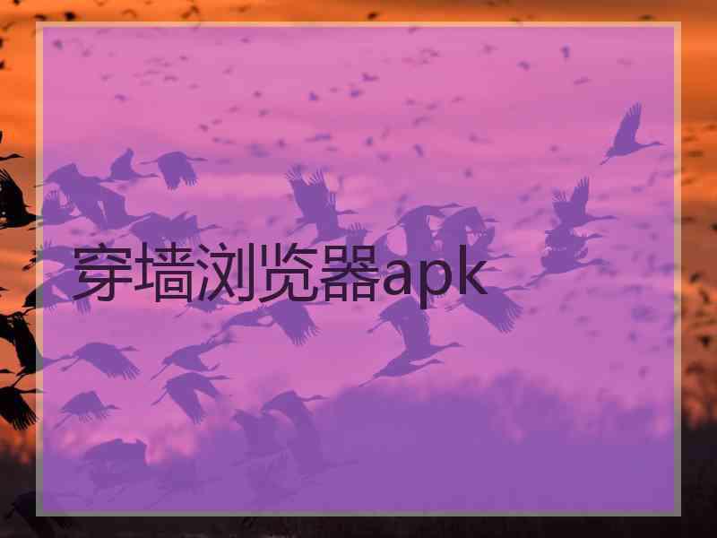 穿墙浏览器apk