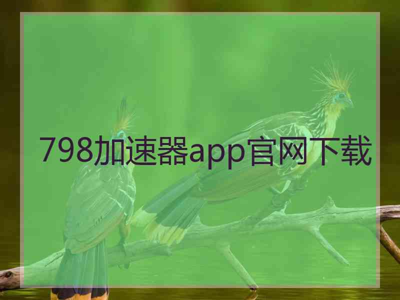 798加速器app官网下载