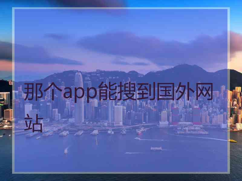 那个app能搜到国外网站