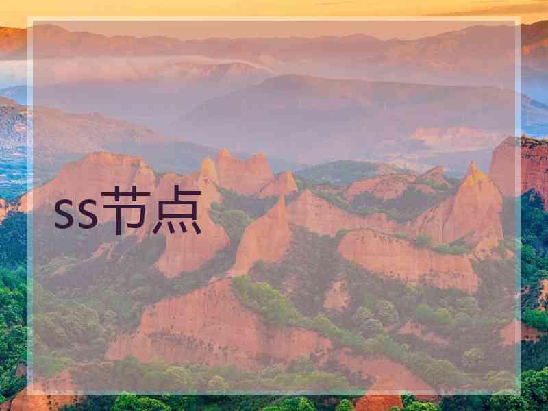 ss节点