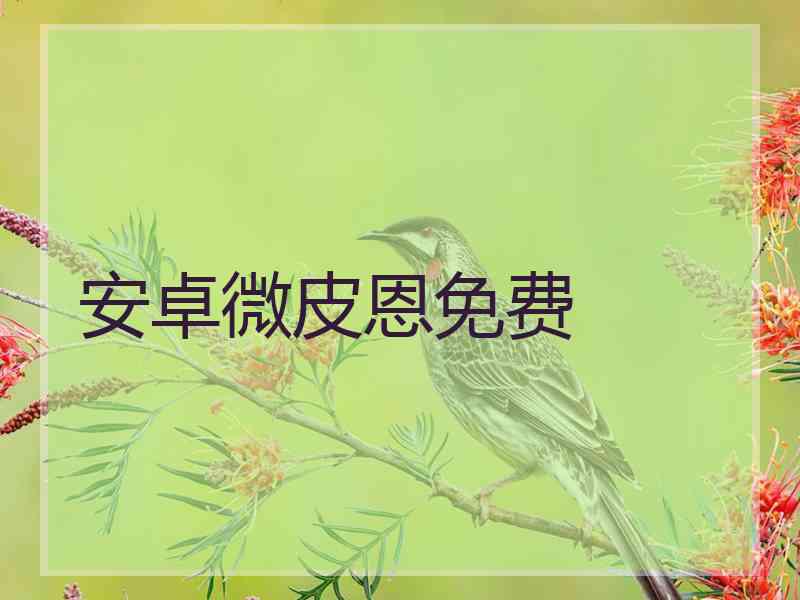 安卓微皮恩免费