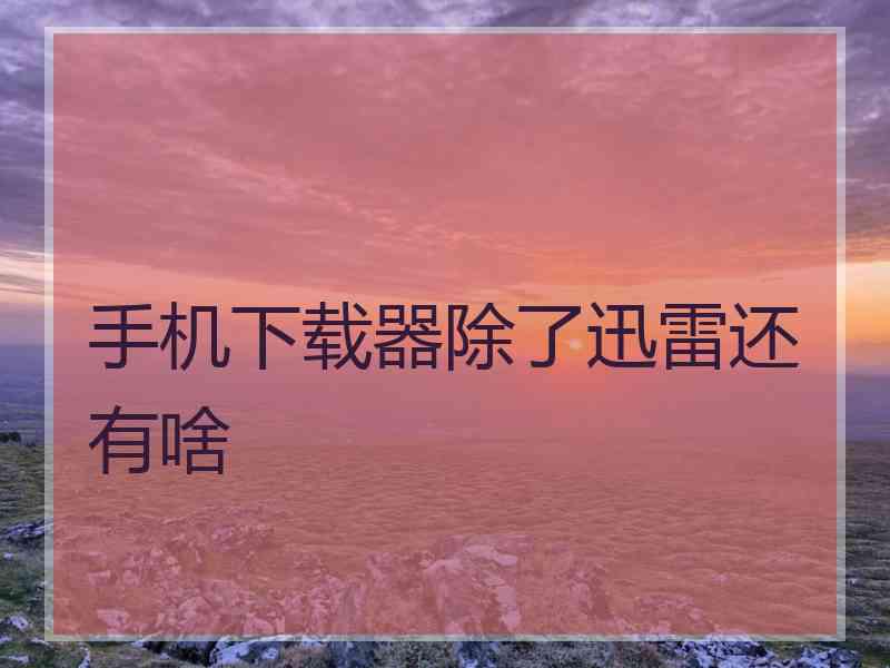 手机下载器除了迅雷还有啥