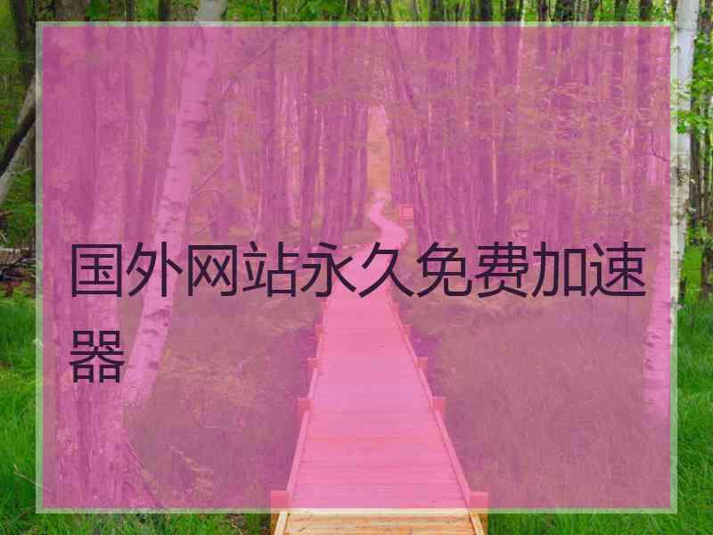 国外网站永久免费加速器