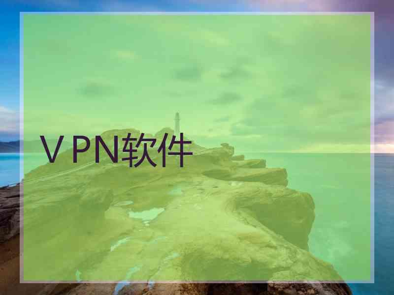 ⅤPN软件