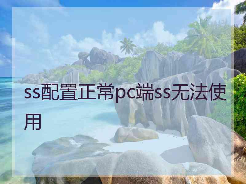 ss配置正常pc端ss无法使用