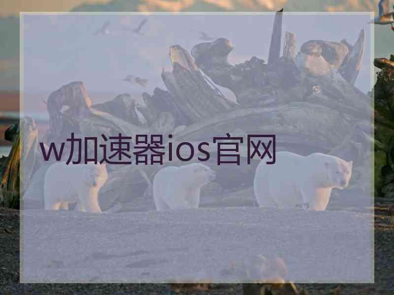 w加速器ios官网