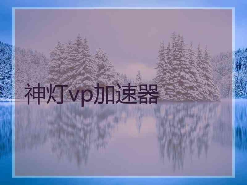 神灯vp加速器