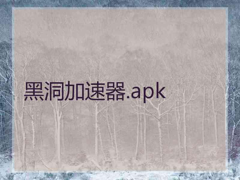 黑洞加速器.apk