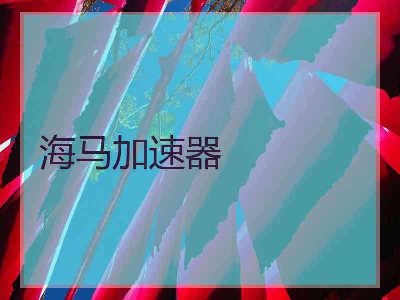 海马加速器