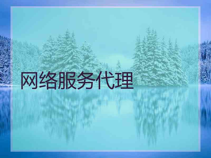 网络服务代理