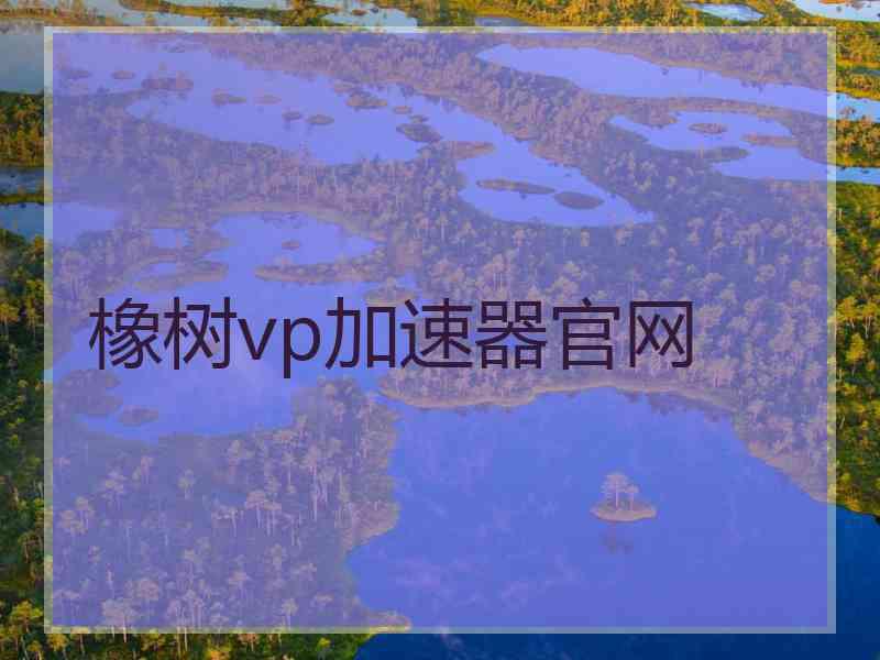 橡树vp加速器官网