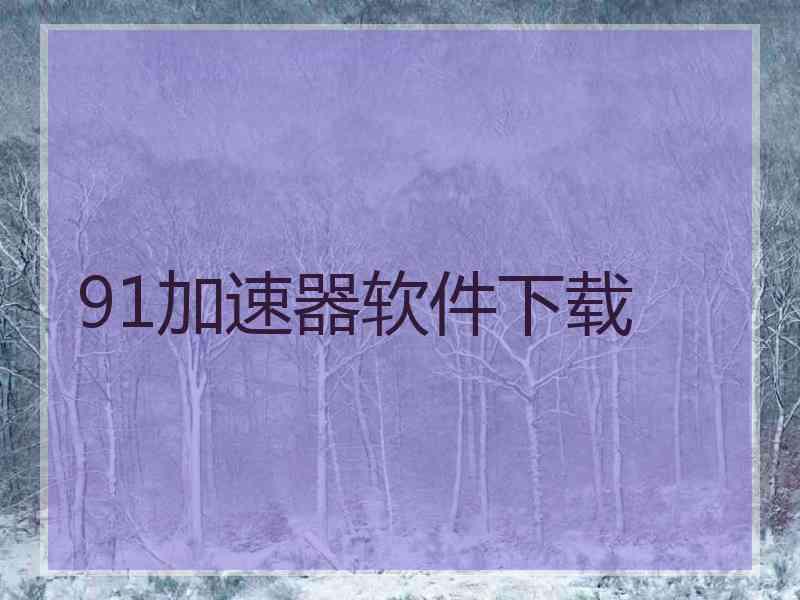 91加速器软件下载