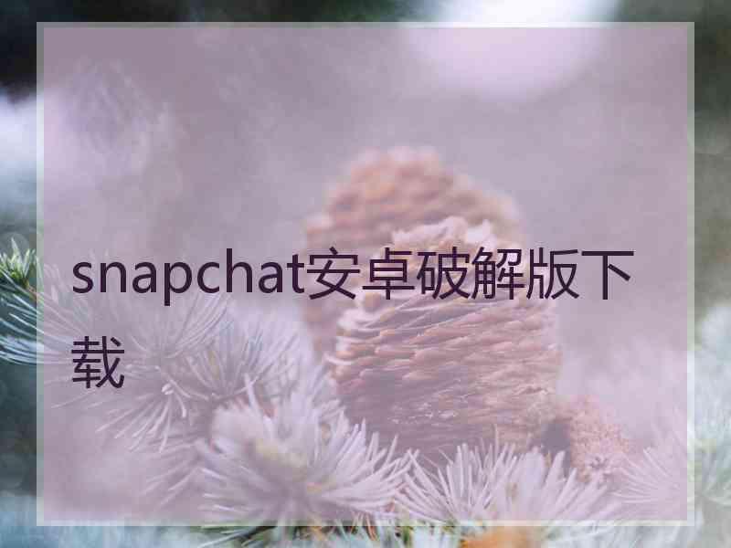 snapchat安卓破解版下载