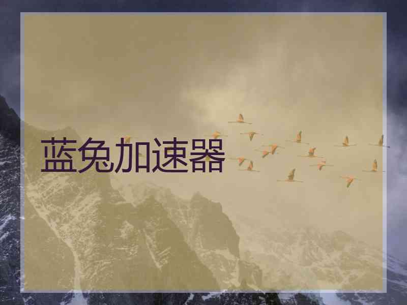 蓝兔加速器
