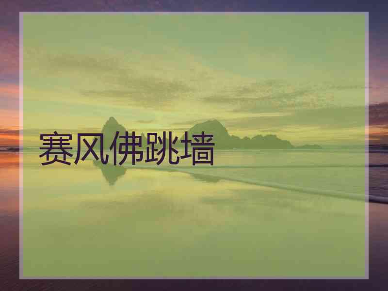 赛风佛跳墙
