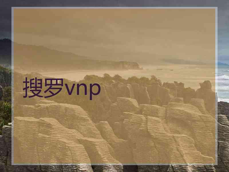 搜罗vnp