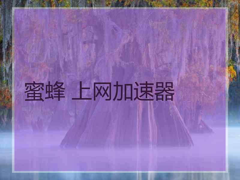 蜜蜂 上网加速器