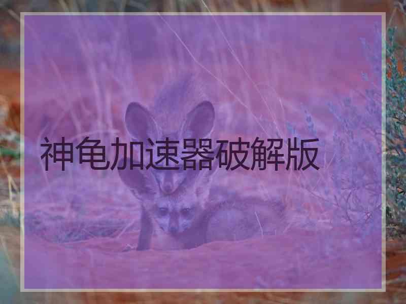 神龟加速器破解版