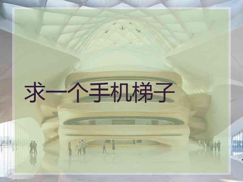 求一个手机梯子