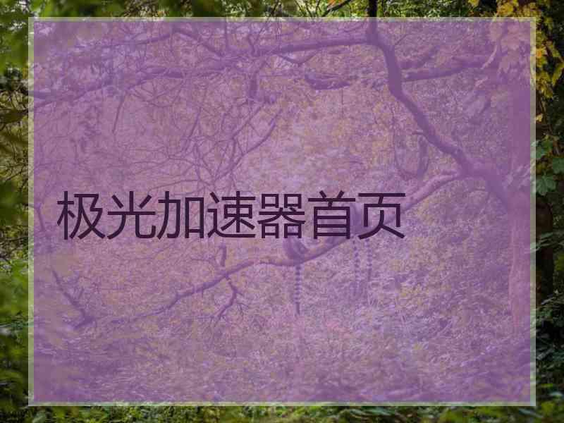 极光加速器首页