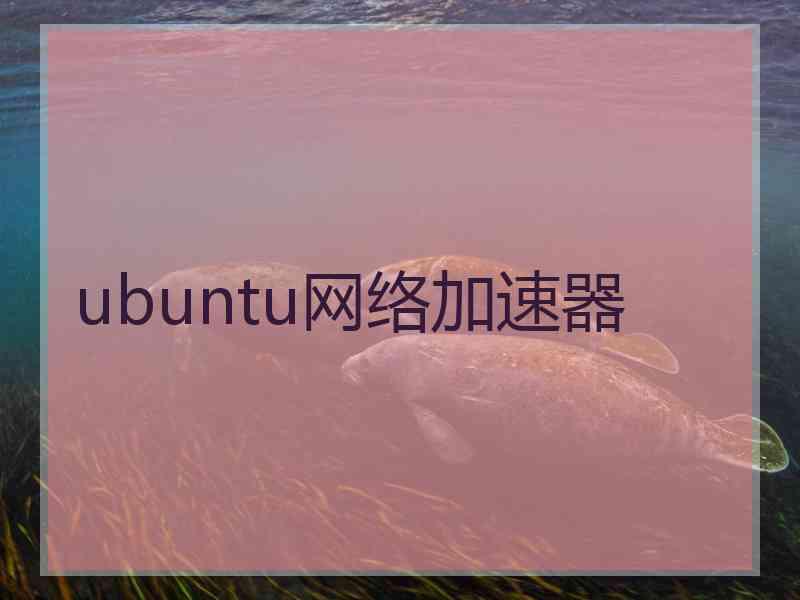 ubuntu网络加速器