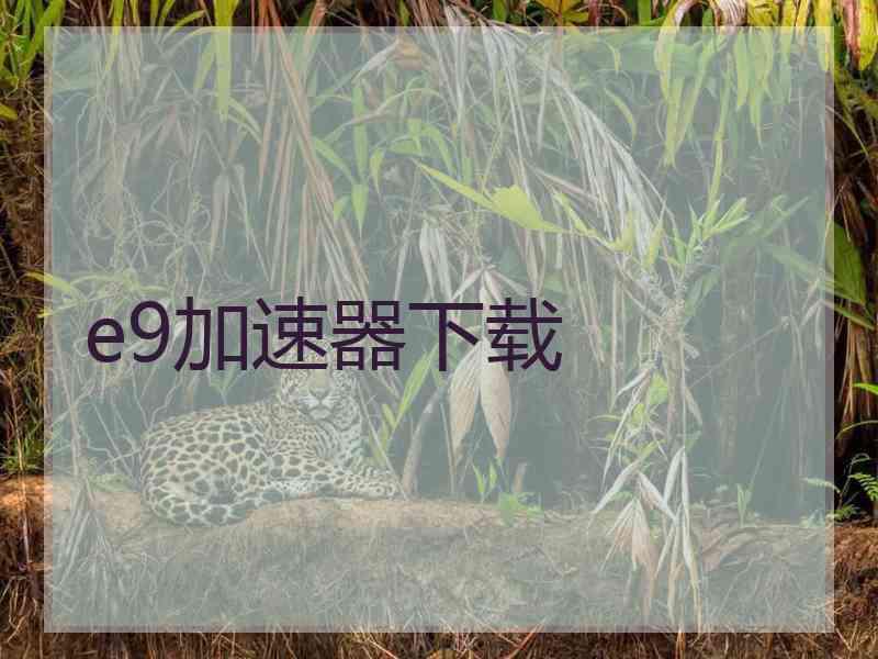 e9加速器下载