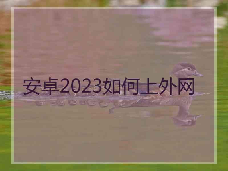 安卓2023如何上外网