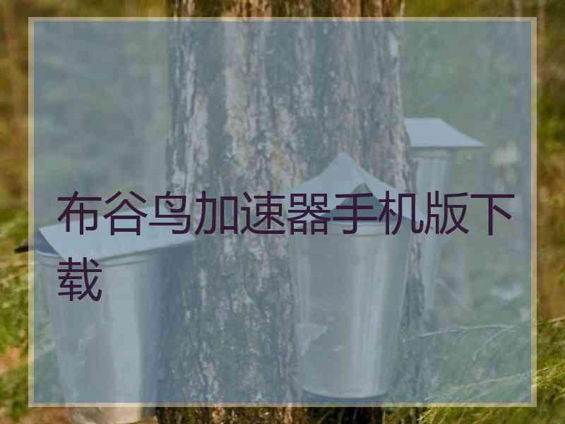 布谷鸟加速器手机版下载