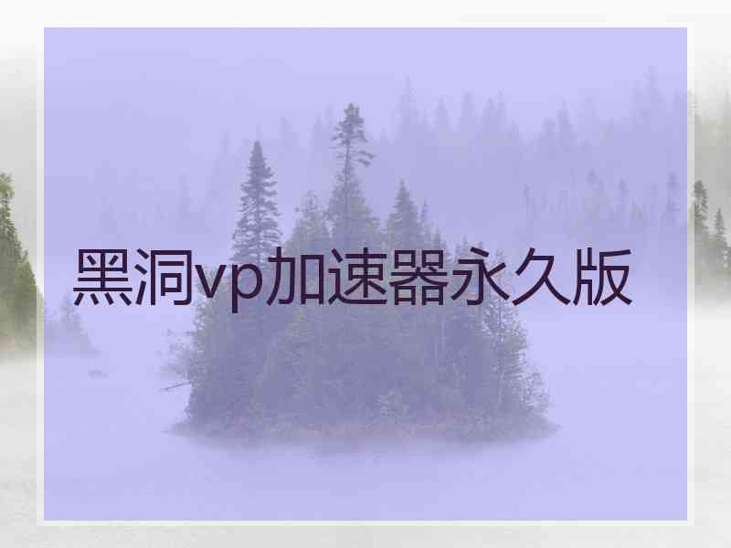 黑洞vp加速器永久版