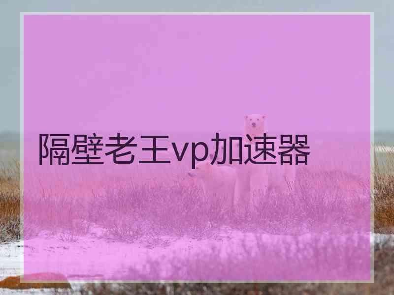 隔壁老王vp加速器