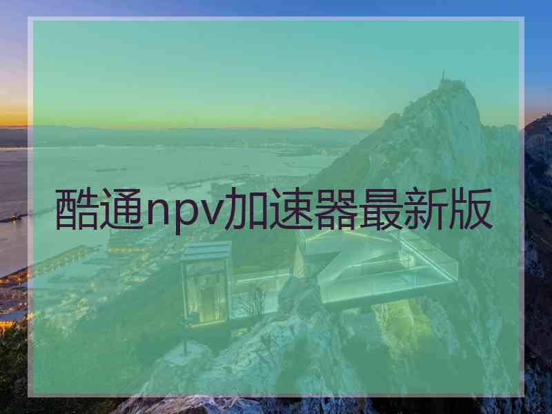 酷通npv加速器最新版