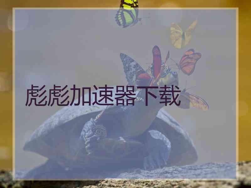 彪彪加速器下载