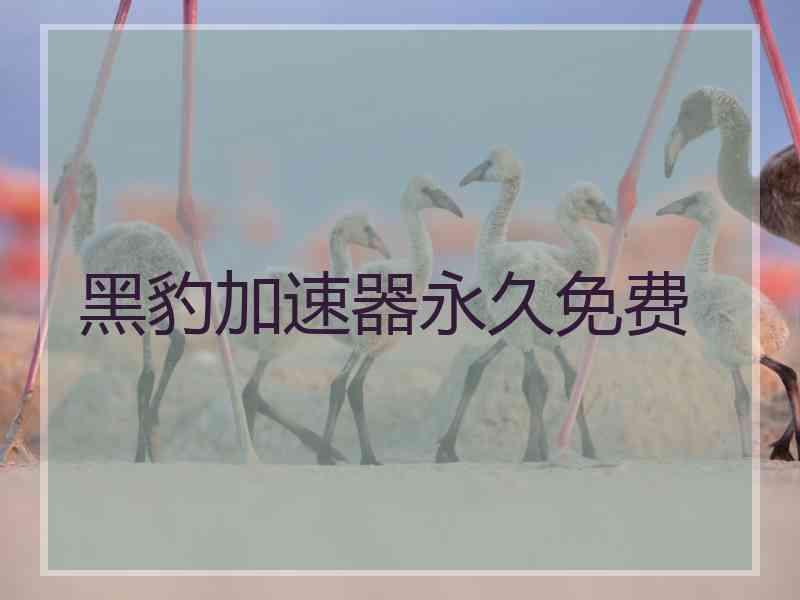 黑豹加速器永久免费