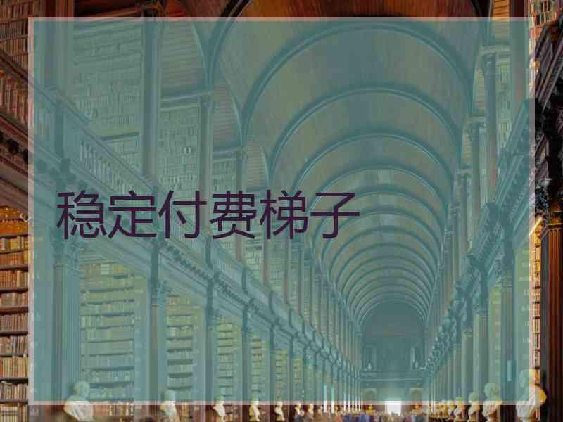 稳定付费梯子